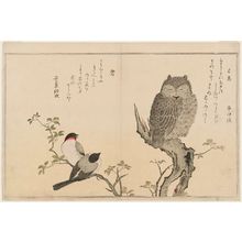 喜多川歌麿: Scops Owl (Mimizuku) and Bullfinches (Uso), from the album Momo chidori kyôka awase (Myriad Birds: A Kyôka Competition) - ボストン美術館
