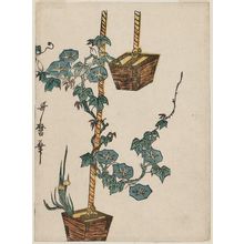 Kitagawa Utamaro: Flower Arrangements with Morning Glories and Narcissus - Museum of Fine Arts