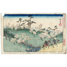 Utagawa Hiroshige: Cherry-blossom Viewing at Asuka Hill (Asukayama hanami), from the series Famous Places in Edo (Kôto meisho) - Museum of Fine Arts