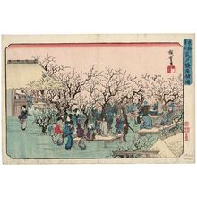 歌川広重: Plum Garden at Kameido (Kameido ume yashiki no zu), from the series Famous Places in the Eastern Capital (Tôto meisho) - ボストン美術館