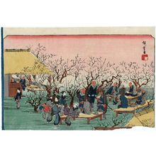 歌川広重: Plum Garden at Kameido (Kameido ume yashiki no zu), from the series Famous Places in the Eastern Capital (Tôto meisho) - ボストン美術館