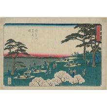 歌川広重: Cherry-blossom Viewing at Asuka Hill (Asukayama hanami no zu), from the series Famous Places in Edo (Edo meisho) - ボストン美術館