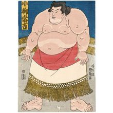 歌川国貞: Sumô Wrestler Koyanagi Tsunekichi - ボストン美術館