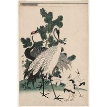 Kitagawa Utamaro: Cranes and Pine Tree - Museum of Fine Arts