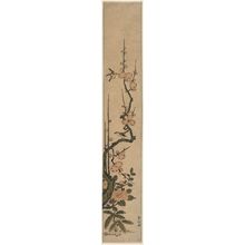 鈴木春信: Warblers and Flowering Plum - ボストン美術館