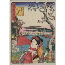 Nansuitei Yoshiyuki: Ajihara Pond at the Ubuyu Shrine (Ubuyu Ajihara-ike), from the series One Hundred Views of Osaka (Naniwa hyakkei) - ボストン美術館