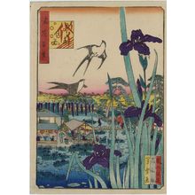 Nansuitei Yoshiyuki: Irises at Urae (Urae kakitsubata), from the series One Hundred Views of Osaka (Naniwa hyakkei) - ボストン美術館