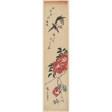 Utagawa Hiroshige: Kingfisher and Wild Rose - Museum of Fine Arts