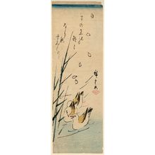 歌川広重: Oyster-catchers (Miyakodori), Reeds, and Falling Petals - ボストン美術館