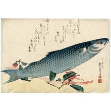 Utagawa Hiroshige: Mullet, Asparagus, and Camellia, from an untitled series known as Large Fish - Museum of Fine Arts
