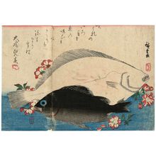 Utagawa Hiroshige: Halibut, Plaice, and Wild Cherry, from an untitled series known as Large Fish - Museum of Fine Arts