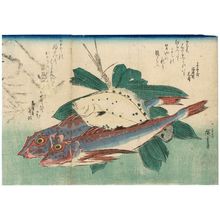 Utagawa Hiroshige: Gurnards, Flatfish, and Bamboo Grass, from an untitled series known as Large Fish - Museum of Fine Arts