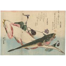 Utagawa Hiroshige: Flatheads and Eggplant, from an untitled series known as Large Fish - Museum of Fine Arts