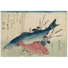 歌川広重: Sea Bass, Golden-eyed Sea Bream, and Shiso, from an untitled series known as Large Fish - ボストン美術館