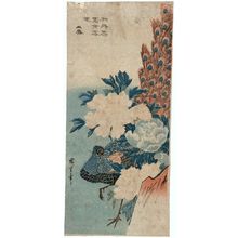 Utagawa Hiroshige: Peacock and Peonies - Museum of Fine Arts