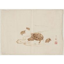 Japanese Print "Turtles" by Ryomin