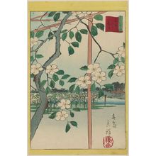 二歌川広重: Pear Blossoms at Rokuroku in the Eastern Capital (Tôto Rokuroku nashi), from the series Thirty-six Selected Flowers (Sanjûrokkasen) - ボストン美術館