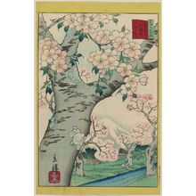 二歌川広重: Cherry Blossoms at Koganei in the Eastern Capital (Tôto Koganei sakura), from the series Thirty-six Selected Flowers (Sanjûrokkasen) - ボストン美術館