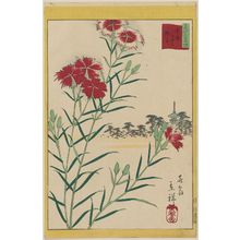 Utagawa Hiroshige II: Wild Carnations at Yanaka in the Eastern Capital (Tôto Yanaka nadeshiko), from the series Thirty-six Selected Flowers (Sanjûrokkasen) - Museum of Fine Arts