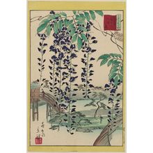 Utagawa Hiroshige II: Wisteria at Kameido Tenjin Shrine in the Eastern Capital (Tôto Kameido Tenjin fuji), from the series Thirty-six Selected Flowers (Sanjûrokkasen) - Museum of Fine Arts