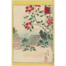 二歌川広重: Camellia at Horinouchi in the Eastern Capital (Tôto Horinouchi sazanka), from the series Thirty-six Selected Flowers (Sanjûrokkasen) - ボストン美術館