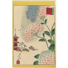 二歌川広重: Hydrangea at the Flower Garden at Asakusa in the Eastern Capital (Tôto Asakusa hana yashiki ajisai), from the series Thirty-six Selected Flowers (Sanjûrokkasen) - ボストン美術館