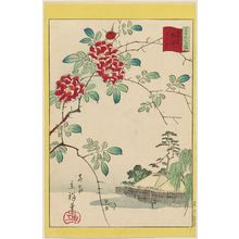 二歌川広重: Wild Roses at Nezu in Tokyo (Tôkyô Nezu bara), from the series Thirty-six Selected Flowers (Sanjûrokkasen) - ボストン美術館