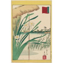 Utagawa Hiroshige II: Narcissus at Oshiage in the Eastern Capital (Tôto Oshiage suisenka), from the series Thirty-six Selected Flowers (Sanjûrokkasen) - Museum of Fine Arts