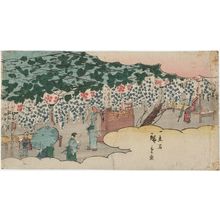 Utagawa Hiroshige: Wisteria Arbor - Museum of Fine Arts