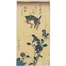 歌川広重: Kingfisher and Bellflowers - ボストン美術館
