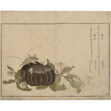 Kitagawa Utamaro: Land Snail (Katatsumuri) and Giant Katydid (Kutsuwamushi), from the album Ehon mushi erami (Picture Book: Selected Insects) - Museum of Fine Arts