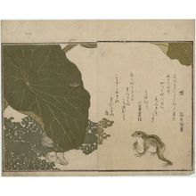 喜多川歌麿: Frog (Kaeru) and Gold Beetle (Koganemushi), from the album Ehon mushi erami (Picture Book: Selected Insects) - ボストン美術館