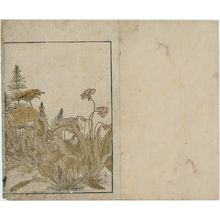 北尾重政: Violets and Dandelions, floral endpaper from the book Seirô bijin awase sugata kagami (Mirror of Beautiful Women of the Green Houses) - ボストン美術館