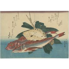 歌川広重: Gurnards, Flatfish, and Bamboo Grass, from an untitled series known as Large Fish - ボストン美術館