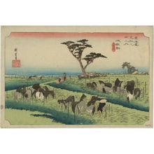 歌川広重: Chiryû: Early Summer Horse Fair (Chiryû, shuka uma ichi), first (?) state, from the series Fifty-three Stations of the Tôkaidô (Tôkaidô gojûsan tsugi no uchi), also known as the First Tôkaidô or Great Tôkaidô - ボストン美術館