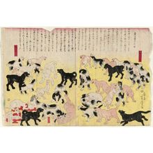 Utagawa Yoshitora: Dogs - Museum of Fine Arts