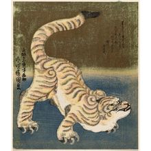 歌川国貞: Tiger - ボストン美術館
