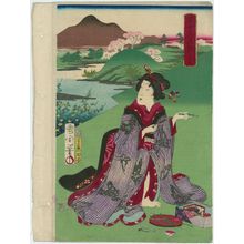 豊原国周: Ide, from the series Six Jewel-like Faces of Modern Times (Tôsei mu tamagao), pun on Six Jewel Rivers (Mu Tamagawa) - ボストン美術館