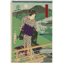 豊原国周: Noji, from the series Six Jewel-like Faces of Modern Times (Tôsei mu tamagao), pun on Six Jewel Rivers (Mu Tamagawa) - ボストン美術館