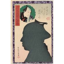 Ochiai Yoshiiku: from the series Portraits as True Likenesses in the Moonlight (Makoto no tsukihana no sugata-e) - Museum of Fine Arts