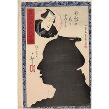 Ochiai Yoshiiku: from the series Portraits as True Likenesses in the Moonlight (Makoto no tsukihana no sugata-e) - Museum of Fine Arts