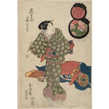 歌川国貞: Asukayama: Yamazakura, Yae, Hitoe (Asukayama: wild cherry blossoms, double, single). Series: Edo Hanami Zukushi (Viewing the flowers of Edo) - ボストン美術館