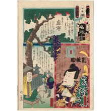 Utagawa Kunisada: Azabu: Actor Arashi Hinasuke, from the series Flowers of Edo and Views of Famous Places (Edo no hana meishô-e) - Museum of Fine Arts