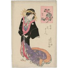 Utagawa Kunisada: Peony (Botan), from the series Contest of Modern Flowers (Tôsei hana kurabe) - Museum of Fine Arts