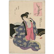 Utagawa Kunisada: Narcissus (Suisen), from the series Contest of Modern Flowers (Tôsei hana kurabe) - Museum of Fine Arts