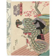 Utagawa Kunisada: Woman Playing with Cat, from the series Spring Dawn: A Contest of Beauties (Haru no akebono, bijin awase) - Museum of Fine Arts