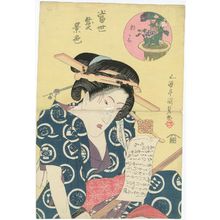 Utagawa Kunisada: Morning Glory (Asagao), from the series Modern Scenes of Summer (Tôsei natsu-geshiki) - Museum of Fine Arts