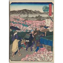 Nakajima Yoshiume: Momoyama, from the series Comical Views of Famous Places in Osaka (Kokkei Naniwa meisho) - Museum of Fine Arts