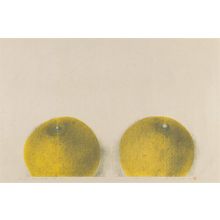 野田哲也: Diary: February 28th, 1994 (b), Two Melons - ボストン美術館