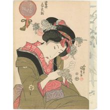Utagawa Kunisada: The Playful Type (Asobita-sô), from the series Thirty-two Physiognomic Types in the Modern World (Tôsei sanjûni sô) - Museum of Fine Arts